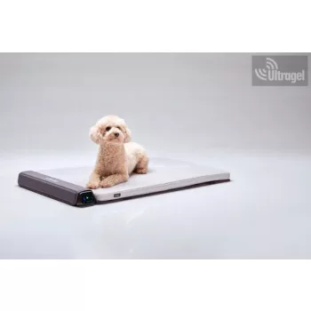   Bemer Dog Comfort (párna + kontroll egység + távirányító) - 416030