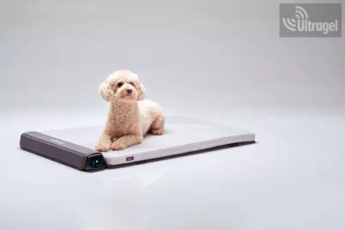 Bemer Dog Comfort (párna + kontroll egység + távirányító) - 416030