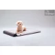 Bemer Dog Comfort (párna + kontroll egység + távirányító) - 416030