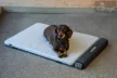 Bemer Dog Comfort (párna + kontroll egység + távirányító) - 416030