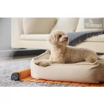 Bemer Dog Basic (párna + kontroll egység) - 416011