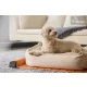 Bemer Dog Basic (párna + kontroll egység) - 416011