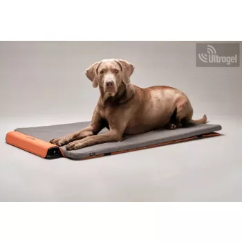   Bemer Dog Comfort Max (nagyobb párna + kontroll egység + távirányító) - 416041