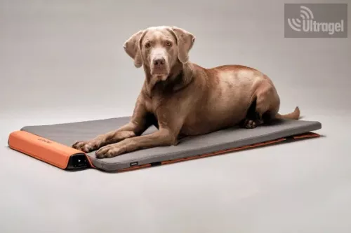 Bemer Dog Comfort Max (nagyobb párna + kontroll egység + távirányító) - 416041