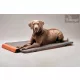 Bemer Dog Comfort Max (nagyobb párna + kontroll egység + távirányító) - 416041