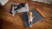 Bemer Dog Comfort Max (nagyobb párna + kontroll egység + távirányító) - 416041